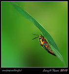 IMG_9777b