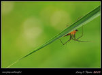 IMG_9856b