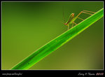 IMG_9867b