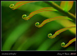 IMG_9925b