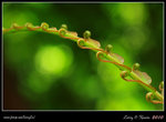IMG_9929b