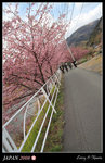 IMG_7010b