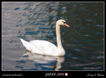 IMG_0009b