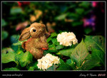 IMG_3290b