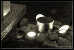 IMG_7910b