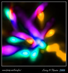 IMG_3555b (Hue adjustment)