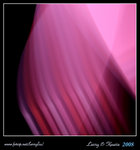 IMG_9672b