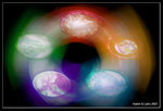 IMG_7941b(Edited in PS)