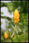 IMG_8020b