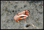 IMG_8024b