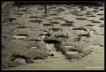 IMG_8037b