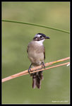 IMG_9757b