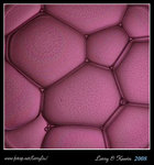 DPP_0002b