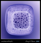 DPP_0004b