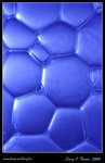 DPP_0005b
