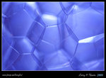 DPP_0010b