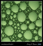 DPP_0010b1