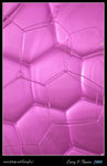 DPP_0011b