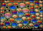 IMG_3926b