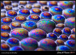 IMG_4189ab