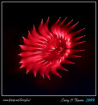 IMG_3032b