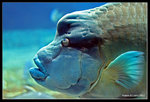 IMG_9531b