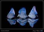 Ice Fire DPP_0001b