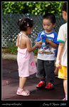 IMG_0906b