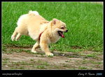 IMG_1037b