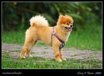 IMG_1080b