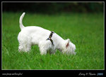 IMG_1093b