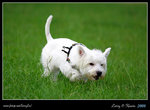 IMG_1096b