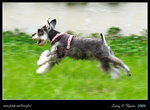 IMG_1116b