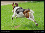 IMG_1157b