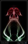 DPP_0010b1
