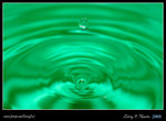 DPP_0008b
