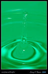 DPP_0009b