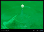 DPP_0013b