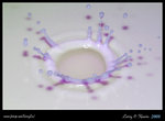 DPP_0015b