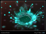 DPP_0016b