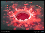 DPP_0017b