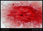 DPP_0020b
