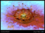 DPP_0023b