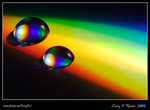 DPP_0002b
