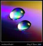 DPP_0003b