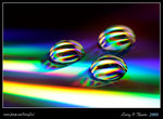 DPP_0005b