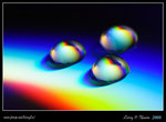 DPP_0006b