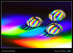 DPP_0007b