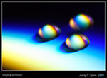 DPP_0009b
