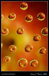 DPP_0003b